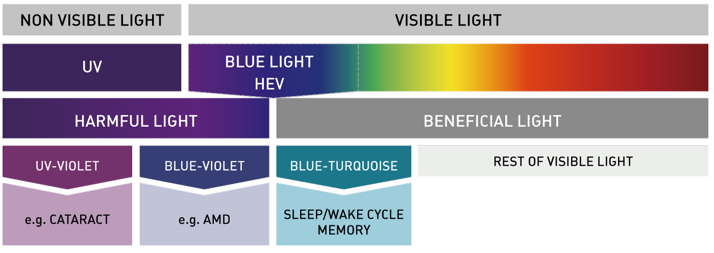 blue cut lenses