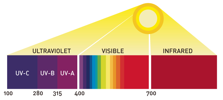 optical lens