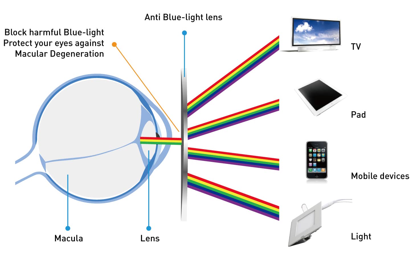 progressive lens rx