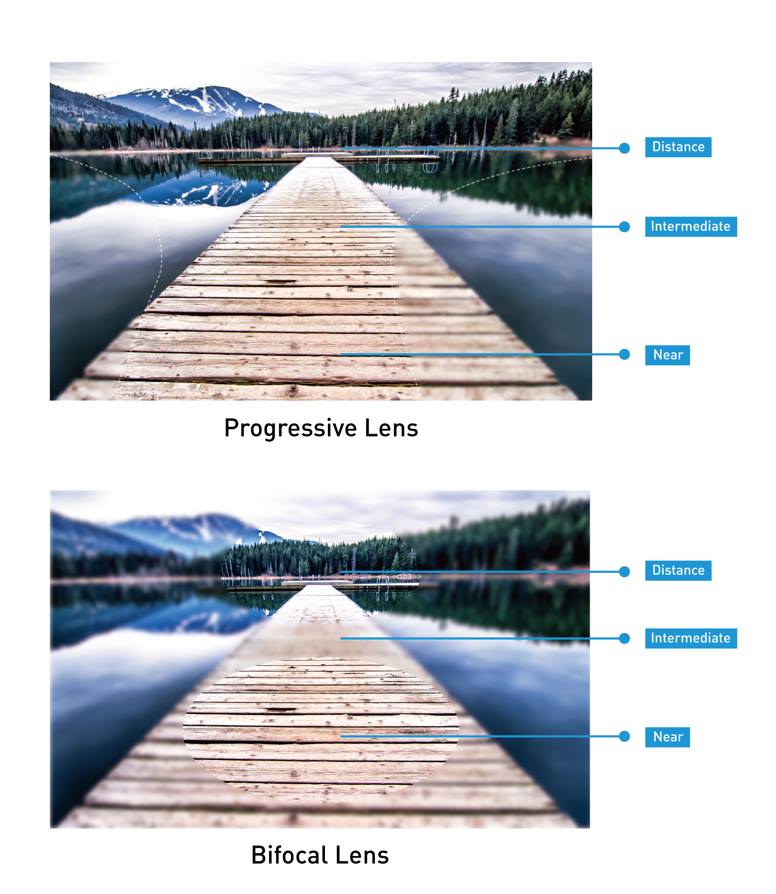 photochromic bifocal vs photochromic progressive